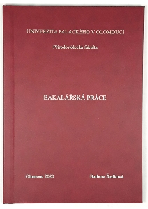 Bakalářská práce UPOL - výroba AZ-Diplomky.cz
