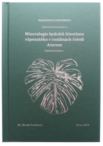 Diplomová práce Masarykova univerzita v Brně - výroba AZ-Diplomky.cz